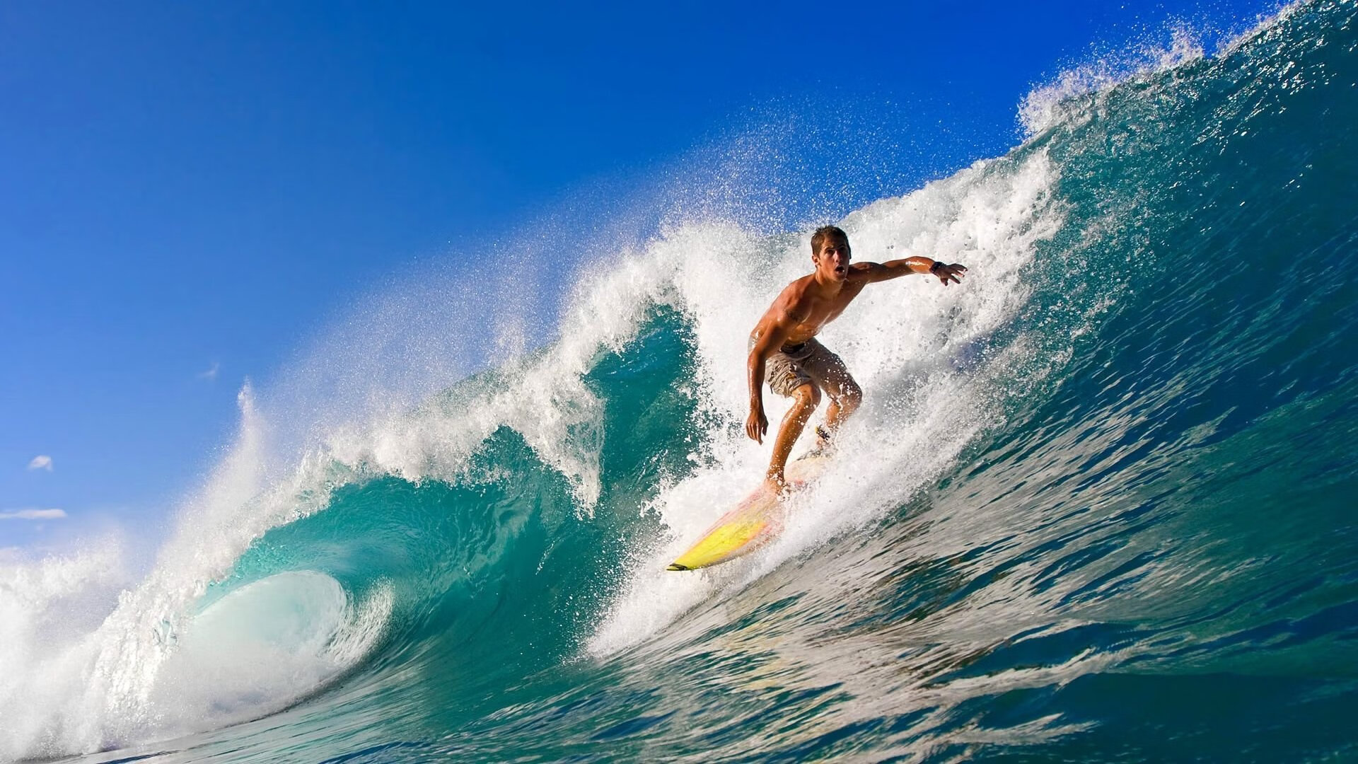 穆雷新星出色发挥表现突出，热火前途光明！引发球迷热议