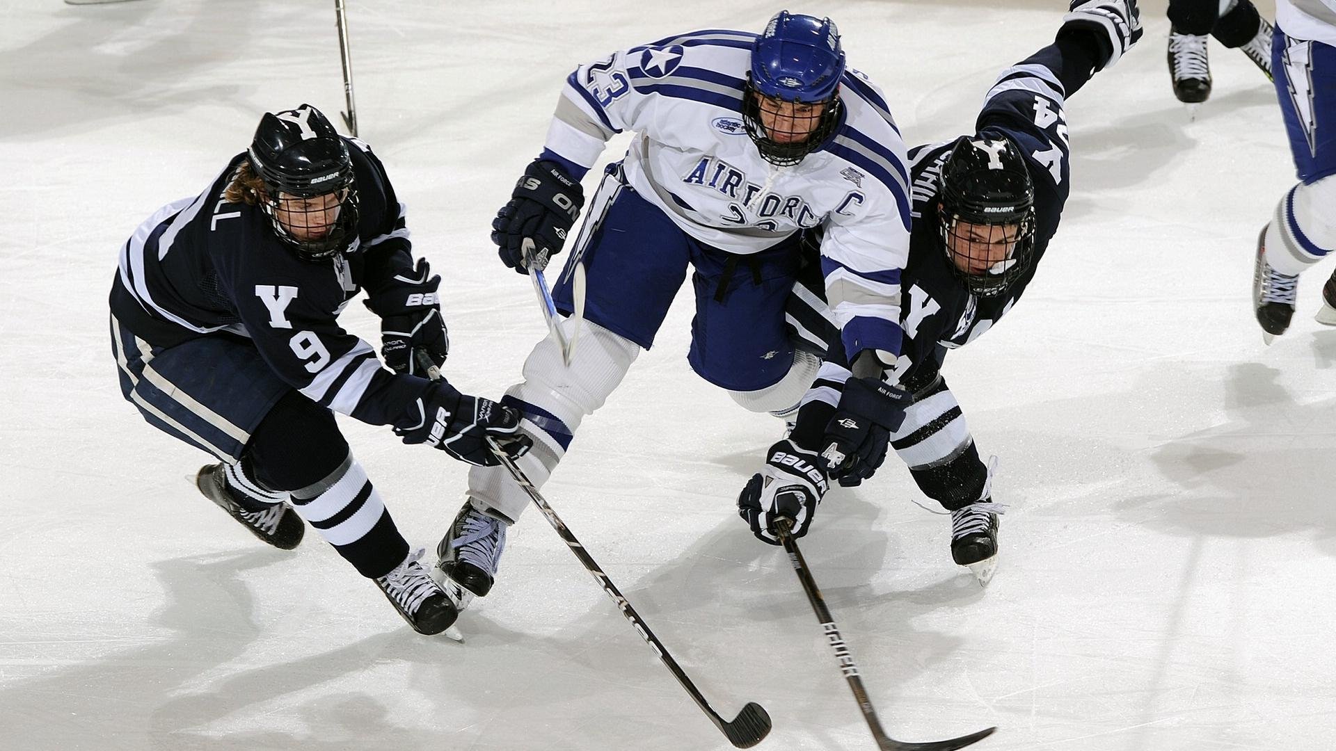 科维托娃遭遇十二连败，公牛教练压力巨大！观众掌声雷动